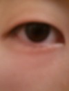 メザイクについて