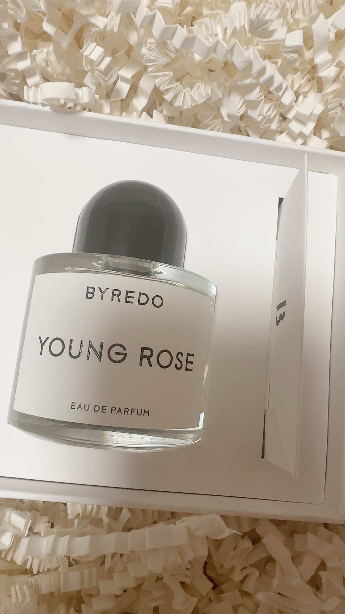 BYREDO YOUNG ROSE バレード バイレード ヤングローズ - ユニセックス