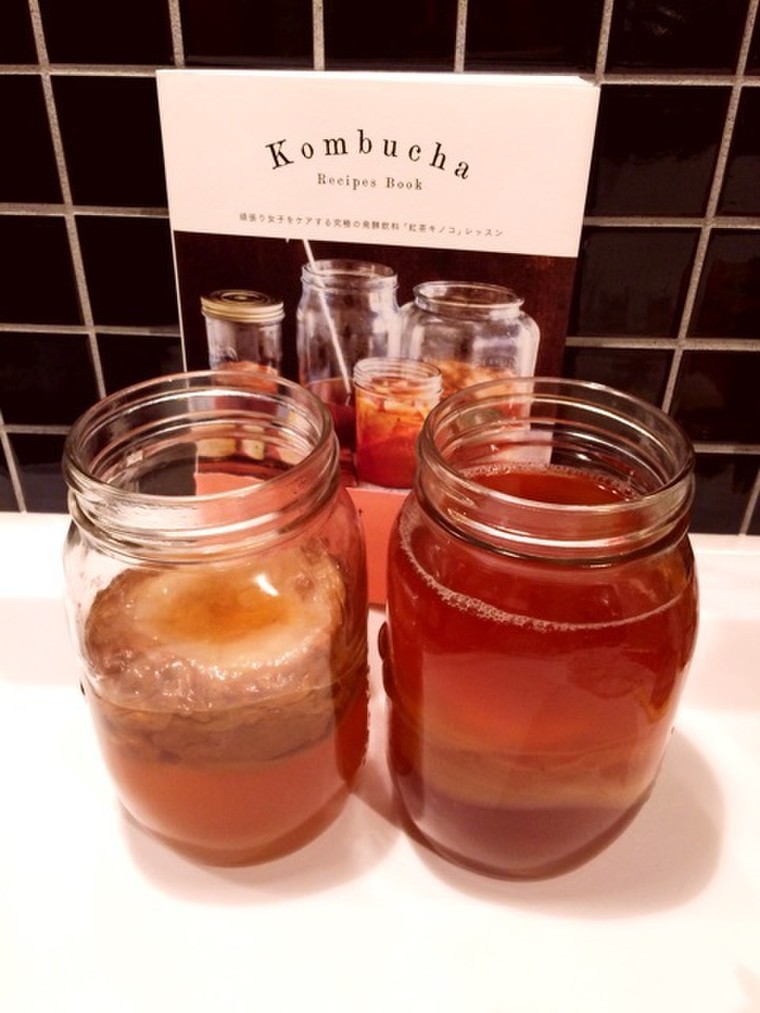 Kombucha 紅茶キノコ 11kummyさんのブログ Cosme アットコスメ