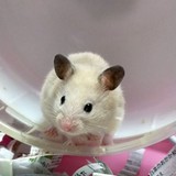 鈴木次女さんプロフィール画像