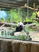 ○ちょろ○さんプロフィール画像