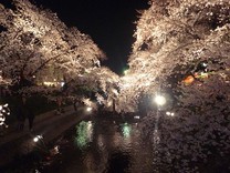 さらん(*´ｪ`*)