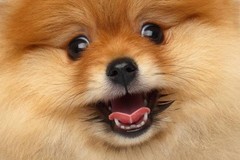 ＋きゃおりんさんプロフィール画像