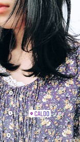 ve_i