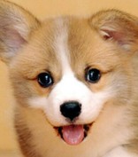 ひとみりんこ