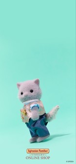 小麦粉BOY