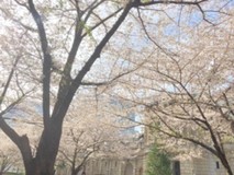 ももすわんさんプロフィール画像
