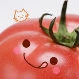 ねこ＊トマト
