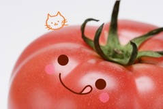 ねこ＊トマトさんプロフィール画像
