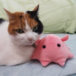 **なつごろう**