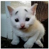 yucansさんプロフィール画像