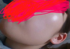 ホメオスタイル fexa の口コミ一覧 美容 化粧品情報はアットコスメ ホメオスタイル fexa の口コミ一覧 美容 化粧品情報はアットコスメ