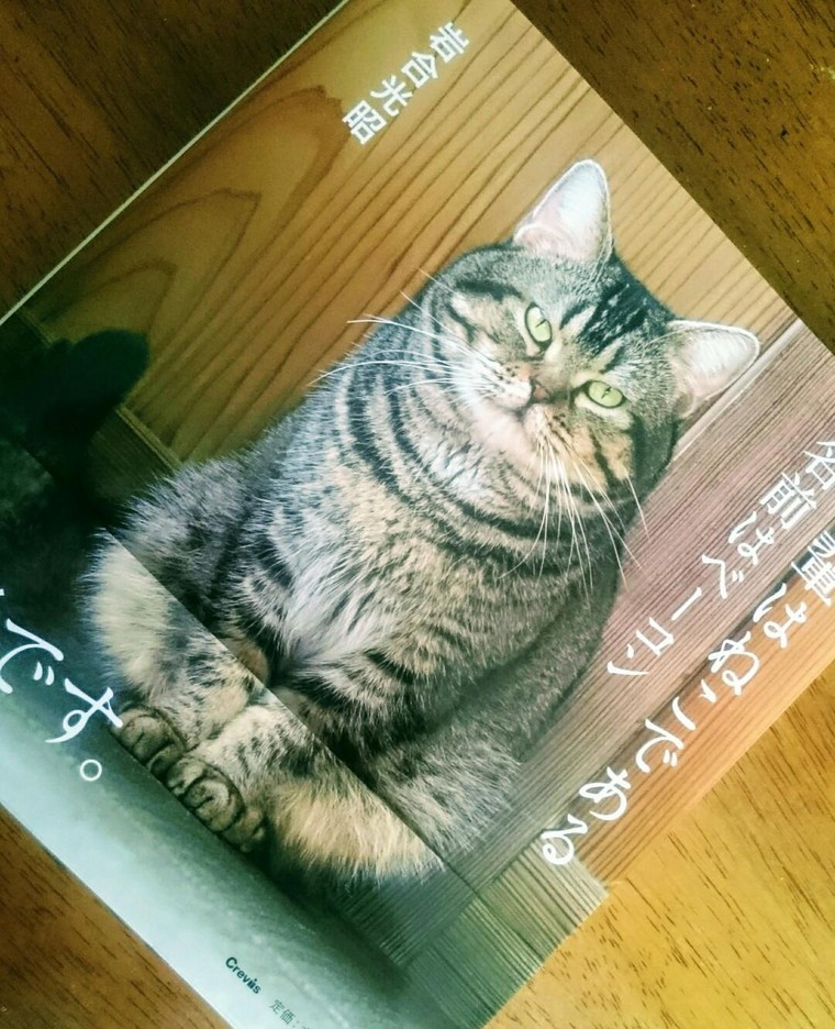 やっぱり猫が好き jijiさんのブログ Cosme アットコスメ