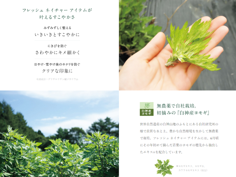 イグニスのフレッシュネイチャーミルク コフレとアルビオンのルネセアシャンプーも気になる Maron0000さんのブログ Cosme アットコスメ イグニスのフレッシュネイチャーミルク コフレとアルビオンのルネセアシャンプーも気になる Maron0000さんのブログ Cosme アットコスメ