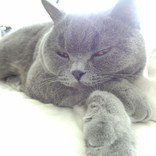 てるりり