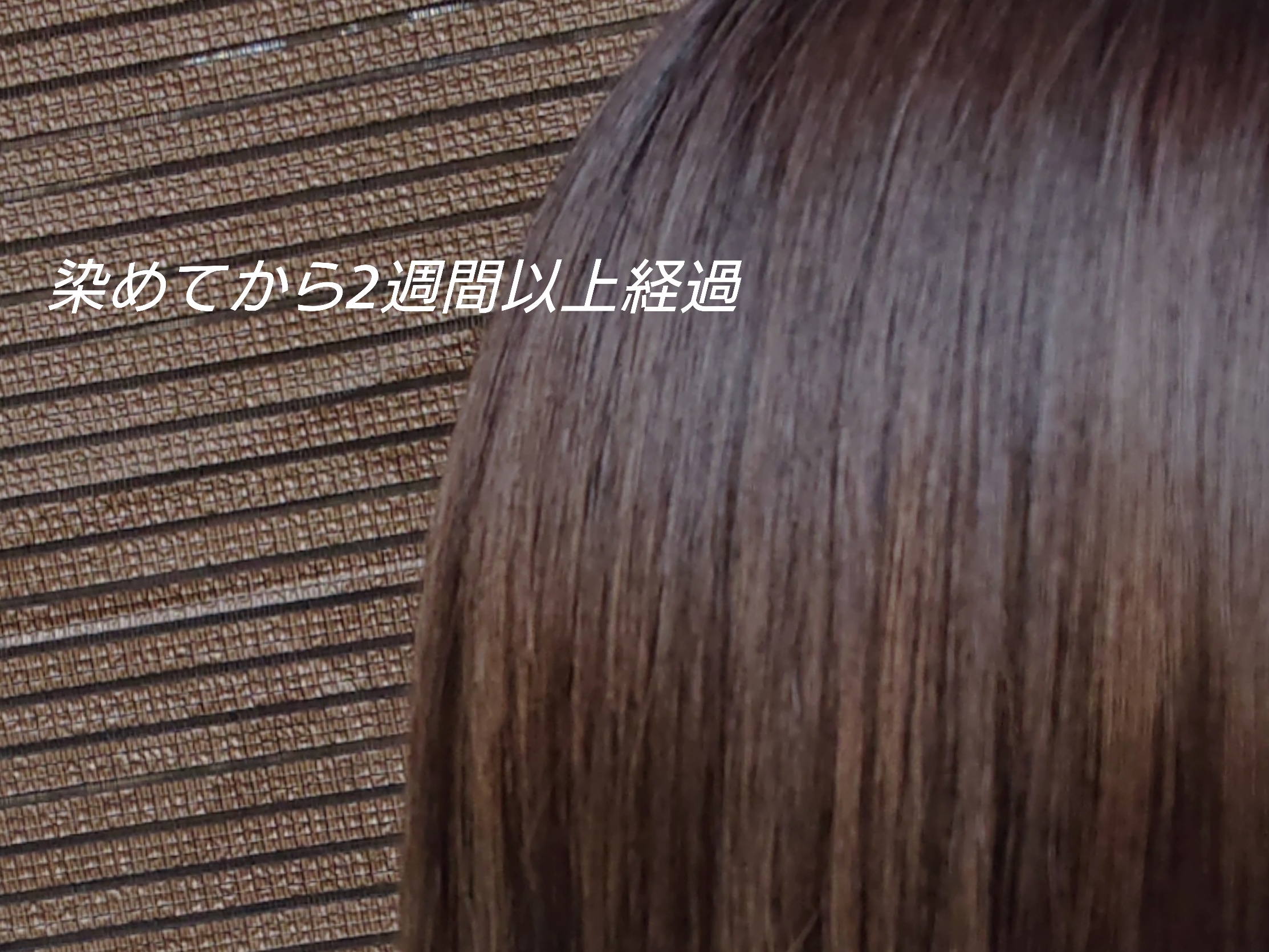 リーゼ 泡カラー 髪色もどしの口コミ写真 By おはぎ さん 3枚目 美容 化粧品情報はアットコスメ