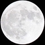 にくみささんプロフィール画像