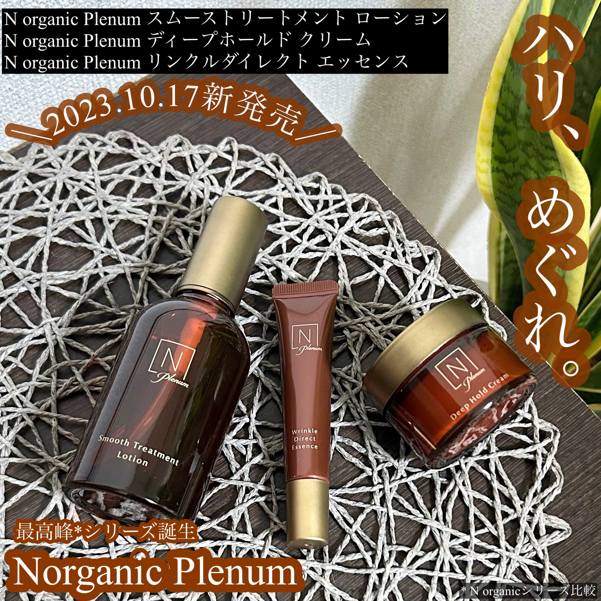 Ｎ organic(エヌオーガニック) / N organic Plenum スムース