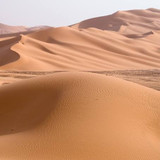 砂漠のかくれんぼさんプロフィール画像