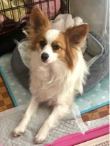 じょせじょせさんプロフィール画像