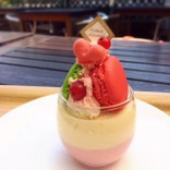うみがめろん