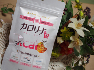 ODECO.MART(オデコマート) / カロリナ酵素プラス(旧)の公式商品 ODECO.MART(オデコマート) / カロリナ酵素プラス(旧)の公式商品