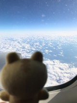 なるり5151さんプロフィール画像