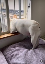 りこりあさんプロフィール画像