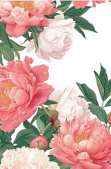 Paeoniaxさんプロフィール画像