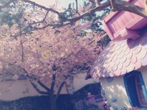 saunaだっふぃ