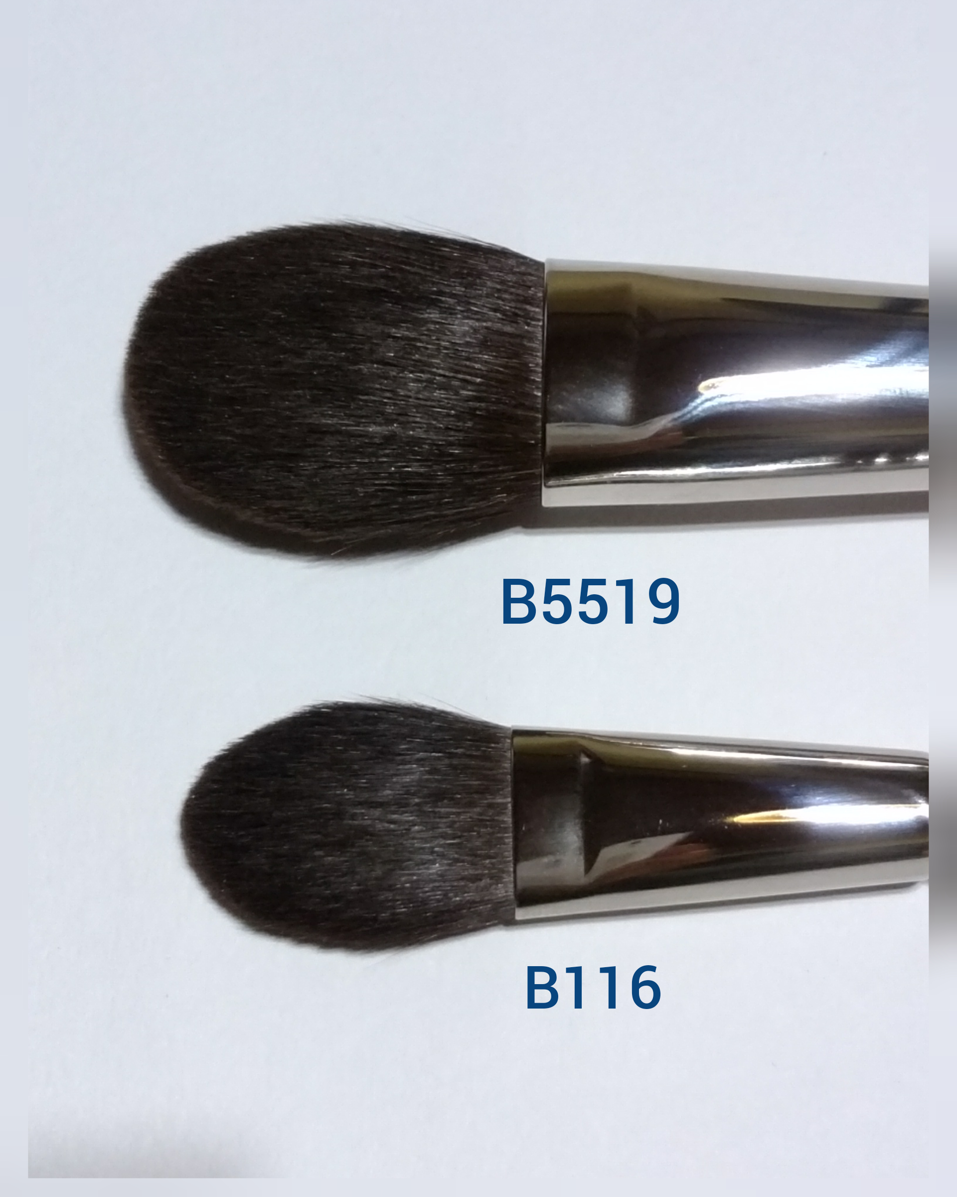 新しい 白鳳堂 化粧ブラシ 化粧筆 B116 ハイライト 丸平 | solinvet.com