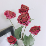口の粘膜にできる白い膜のようなもの はじめて投稿し Q A Cosme アットコスメ 口の粘膜にできる白い膜のようなもの はじめて投稿し Q A Cosme アットコスメ