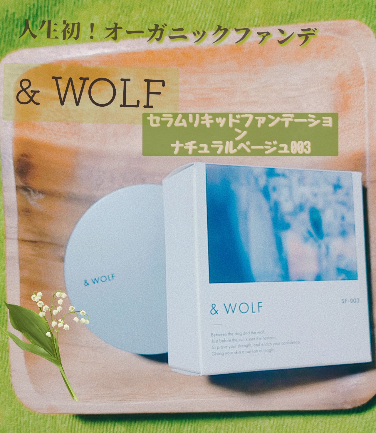 エヌオーガニック &WOLF リキッドファンデーショ4セット ギフ_包装