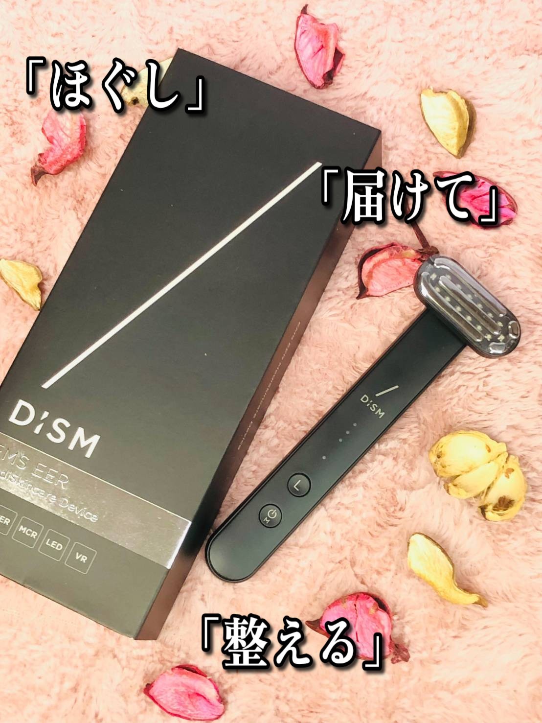 DISM(ディズム) / ディズム EMS EER メディスキンケアデバイス