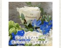 メッセージ　何度もすみません　写真付きです