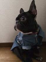 ■□まちゅみ□■