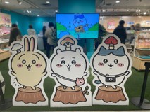 mshkoooさんプロフィール画像