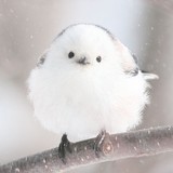 114218さんプロフィール画像