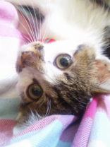 ★ゆずさち★