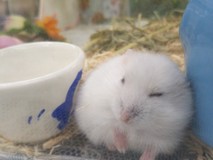 Yuk@(’A`)さんプロフィール画像