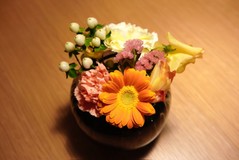 白いゆきだまさんプロフィール画像