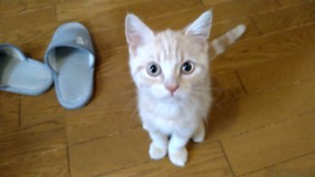 みろすけさんプロフィール画像