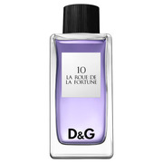 D&G 10- [f  tH` I[hg/D&G iʐ^