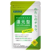 킽̃`JENERGY/JlJAwXPA iʐ^
