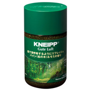 クナイプ グーテルフト バスソルト パイン＜松の木＞＆モミの香り850g/クナイプ 商品写真
