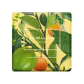 C oW & }_ \[v/Jo Malone London(W[ }[ h) iʐ^