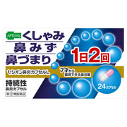 ZVI@JvZ(i)24JvZ/炵YfBJ iʐ^