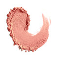 C~lCeBO [XpE_[/NARS iʐ^