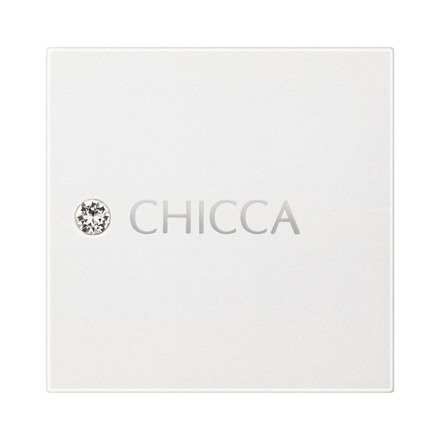 CHICCA(キッカ) / リッドフラッシュ 01 ケーキの公式商品情報｜美容