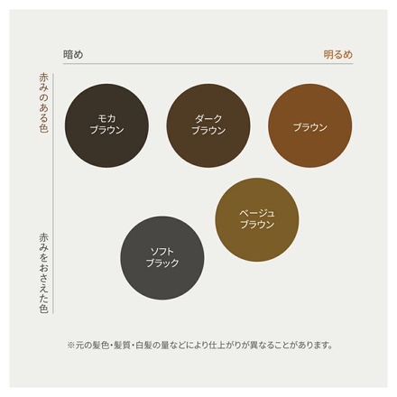 ルプルプ（LPLP） ヘアカラートリートメント ベージュブラウン